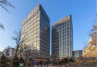 高新区化工氢氧化钙行情