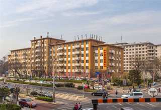 宝山区新型运输服务商多少钱