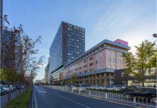 吴江区帆布手套经销商